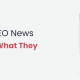 SEO news roundup - August 2024