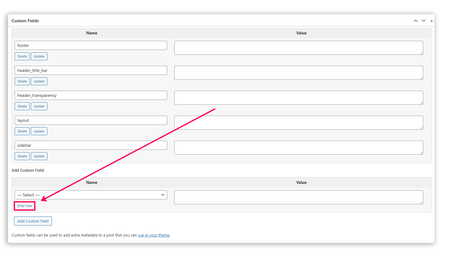 Screenshot of the custom fields section pointing to “Enter new.”